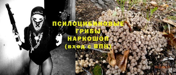 сатива Балахна
