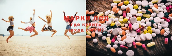 гидропоника Новозыбков