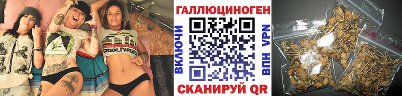 Галлюциногенные грибы MAGIC MUSHROOMS  где купить наркоту  Шумерля 
